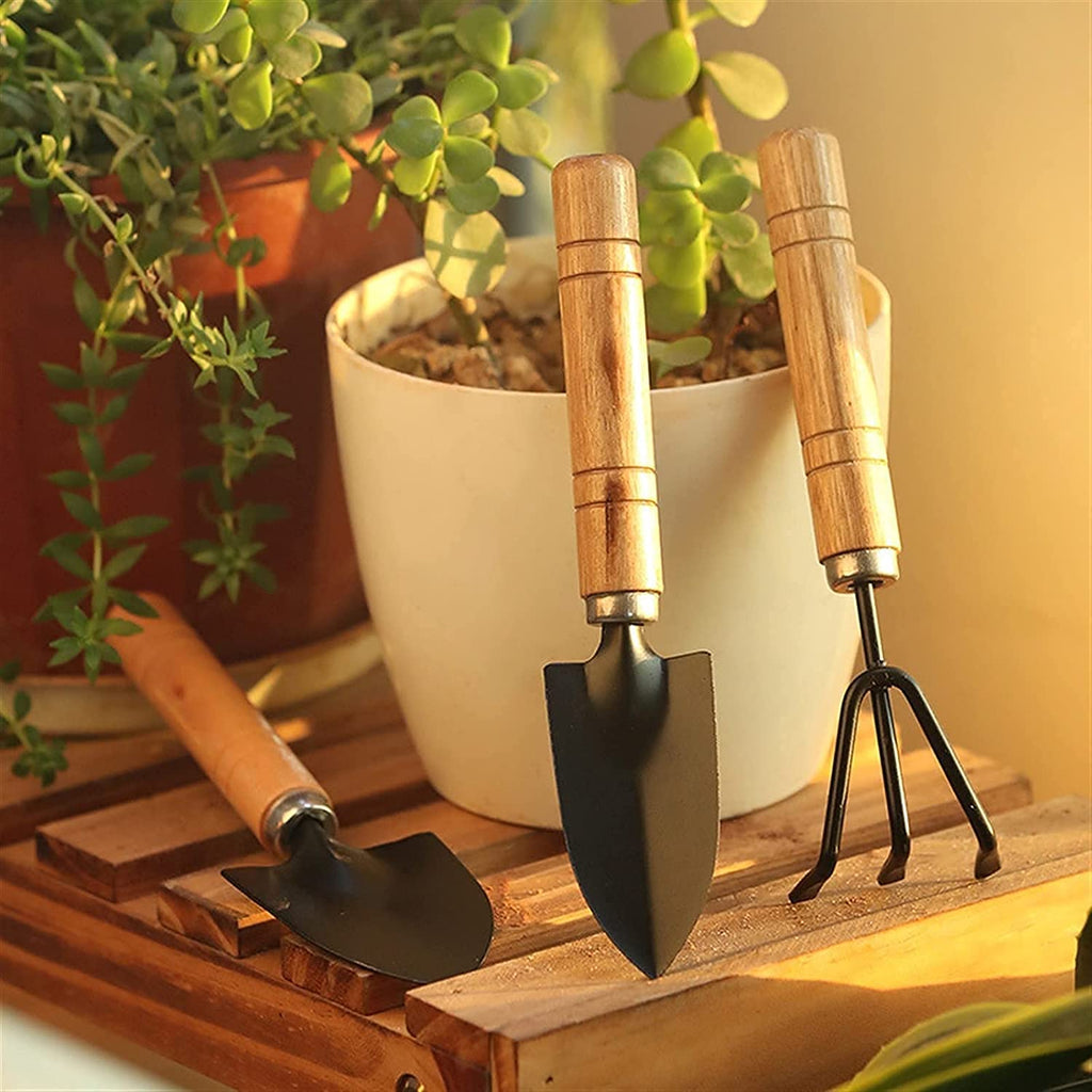 0541 Small sized Hand Cultivator, Small Trowel, Garden Fork (Set of 3) DeoDap