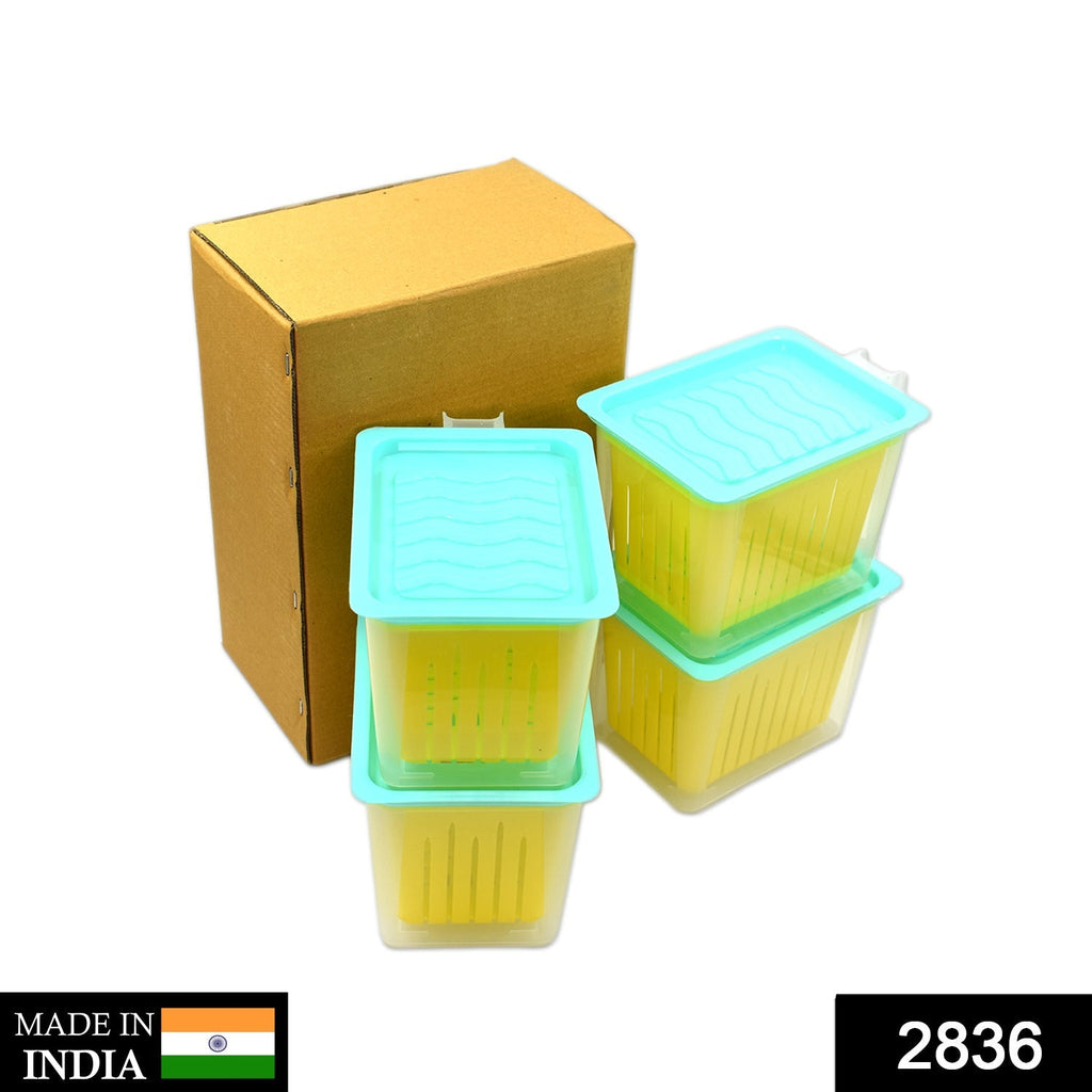 2836 Fridge Storage Containers with Handle Plastic Storage Container for Kitchen(4 Pcs Set) DeoDap