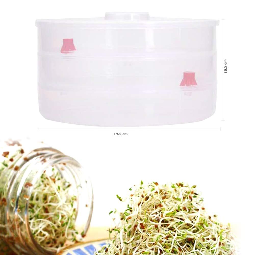 093 Plastic 3 Compartment Sprout Maker, White dhanpe-shop